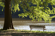 Greenwood Property Managers